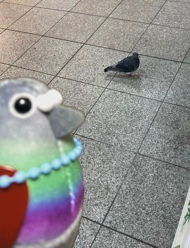 今回のは合成ポゥだけど、いつか並んで撮ってみたいっﾎﾟｩ❗️