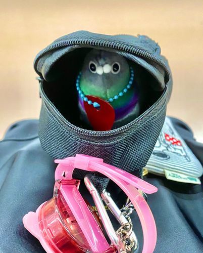 ひとりじゃないﾎﾟ
ポゥがついてるっﾎﾟｩ