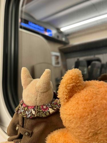 旅するつねとちめ