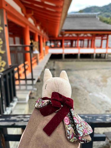 遠くの友達に会いにきた！つねはおやすみ
