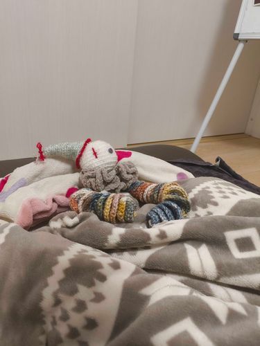 おやすみ💤