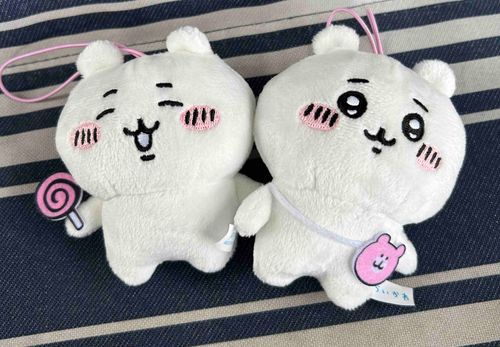 弟のちーかわ（左）としゃしん撮ったよ
