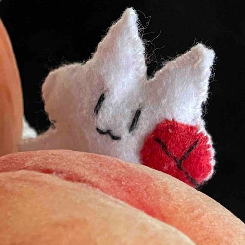 ねこのりんりんです。
りんごのりん吾と仲良しだから、よく一緒に映ってるよ🍎🐱✨