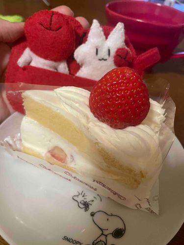 クリスマス〜🎄✨