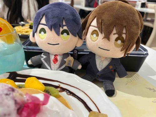 「ぬいもちさん。あたらしい ぱやとさん と ぱぺもち さん が くる らしい ですよ」
「ふん、しんいり か 。」
「わたくし たち も まだ しんじん です から 。」