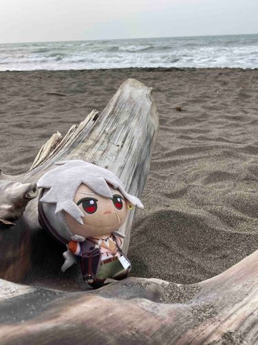 うみ　すき