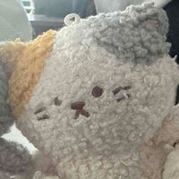 もるぬこ