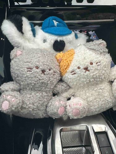 こんばんは🌛おいなりまねき🐱です。本日はシマエナガさん🐤💕と一緒にドライブ🚗に行きました🤭
シマエナガさんの運転とても気持ちよかった😆✨です。