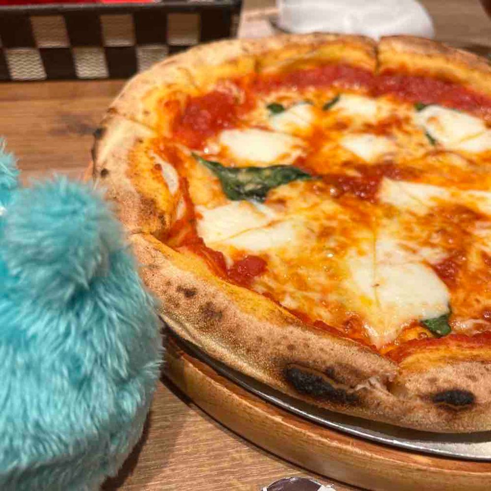 🍕‼️