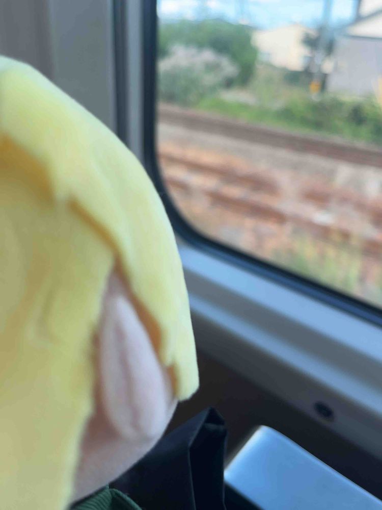電車の旅ぬい