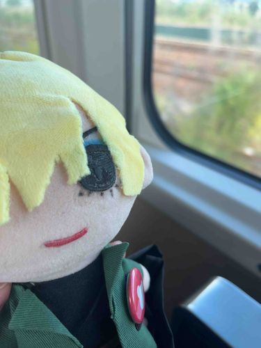 電車の旅ぬい