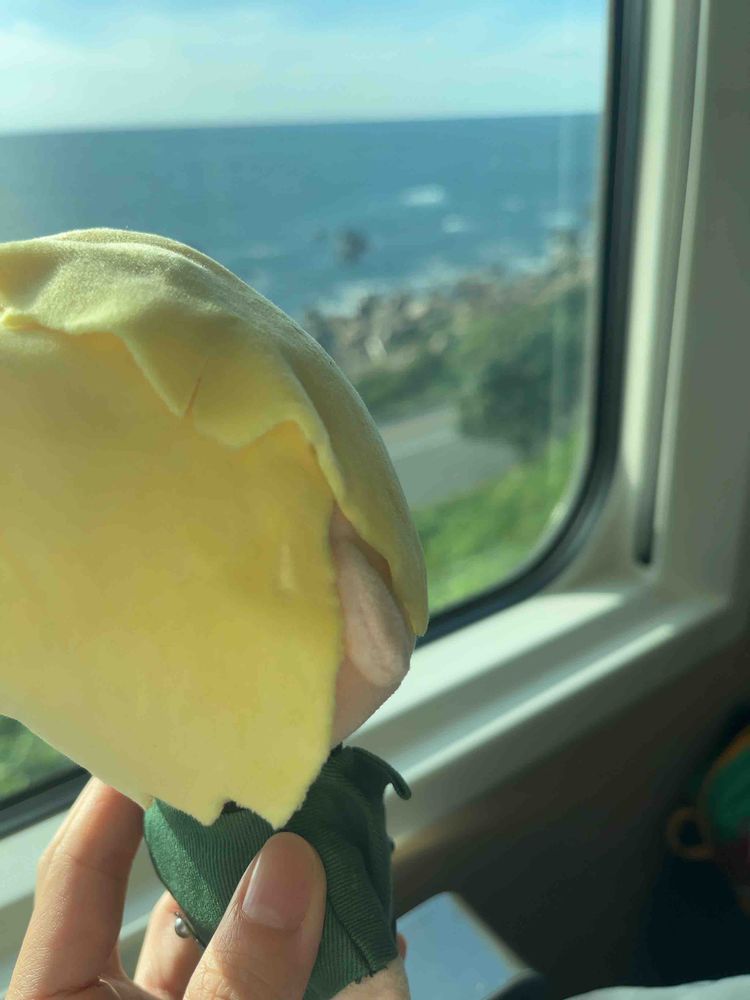 電車の旅ぬい