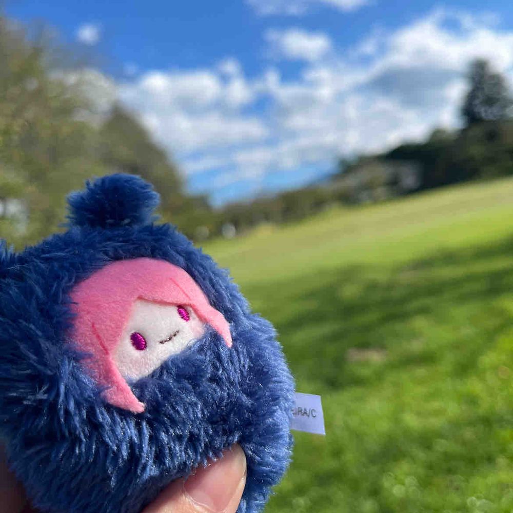 ☀️‼️