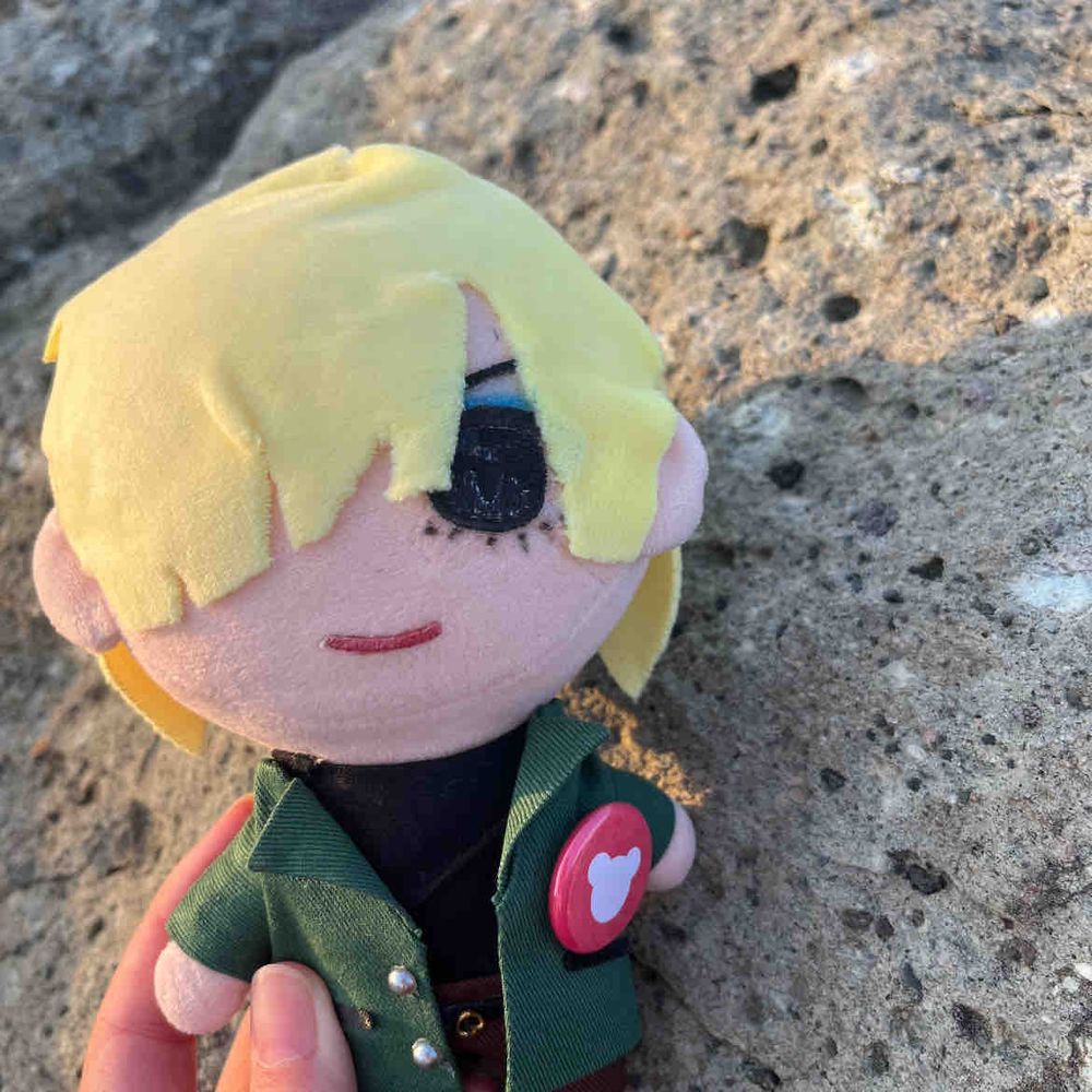 夕焼けバックでカッコよく撮ってほしいぬい