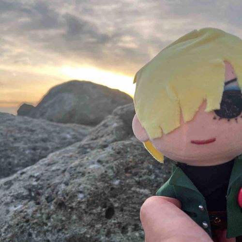夕焼けバックでカッコよく撮ってほしいぬい