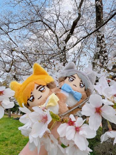 きれいやな〜