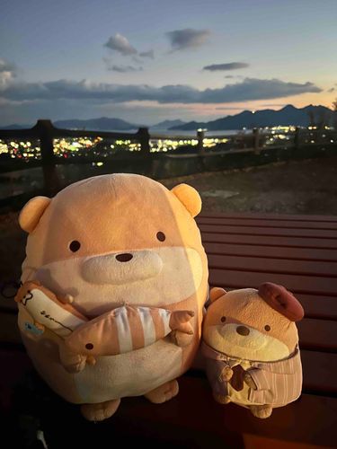 このおやすみにひろしまっていうところにつれってってもらいました^^ おててみたいなおまんじゅうおいしかったでしゅ⭐️

みなさんことしもなかよくしてくださいでしゅ❗️
