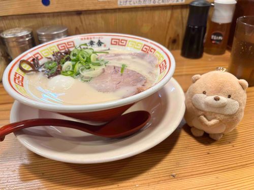 こうっそーです！
きょうままのおともしました✨
シメはやっぱりラーメンよねってってままがうれしそうにいってました^^