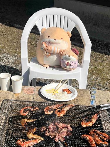 キャンプマスターのぷっそーでしゅ^^ ことしもママといっしょにキャンプ♡
あさごはんはしゃけでだいまんぞくでしゅ❤️