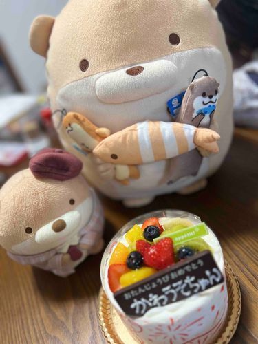 きょうはかわうそのひでしたでしゅ♡あとうちのかわうそかぞくみんなのおたんじょうびだったからママがケーキをかってくれました♡
さいこうのいちにちでしたでしゅ⭐︎