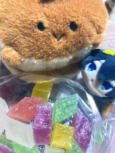 これは…こはくとう　だな　ほっとけえきどの　これも　おれたちふたふりで　たべてしまおう
