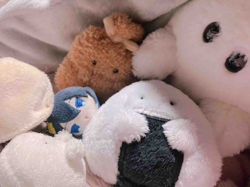 おお　さむいなあ　こんなさむいひに　しんいりだ　おにぎりさんどの　だ　もうすっかり　うちとけておる