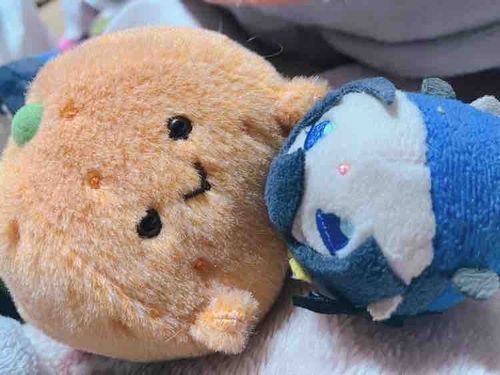 やあひさしいな　もちぬしのゆうじんから　おみかんどのをいただいていたぞ　すこしめつきが　わるいような