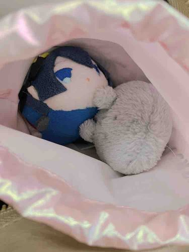 もちぬしが　きゅうきょ　びょういんにかかることになり　つれていかれていたぞ　にゅういんは　まぬがれたそうだ