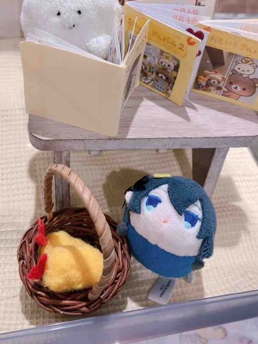 さつえい　こーなー　とな