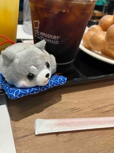 ミスドとわんこ