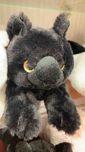 家族が増えたよ❤️