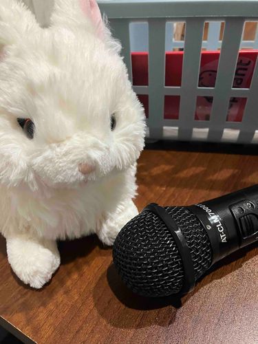 カラオケっ🎤