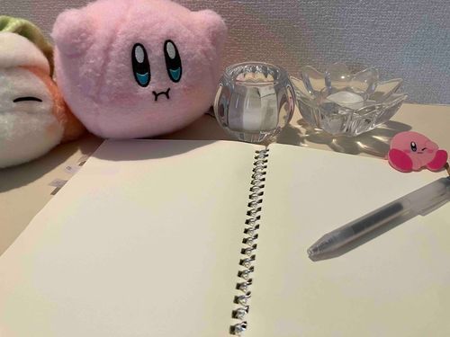 新しくお迎えしたカービィちゃん達とお勉強📚