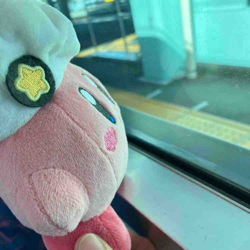 どこ行くの？