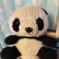 コロちゃん