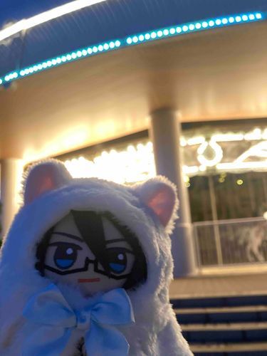 ねこみみもかんぺきをめざす…✨