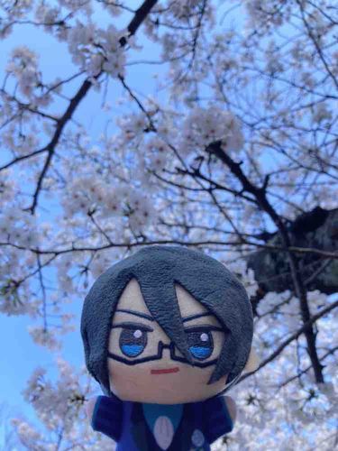 はるだな🌸