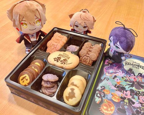 にん げんに おみ や げ もらった すよ！！
