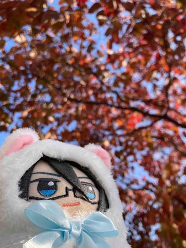 あきだな🍂