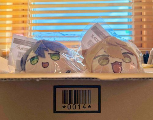 こんにちは‼️‼️‼️