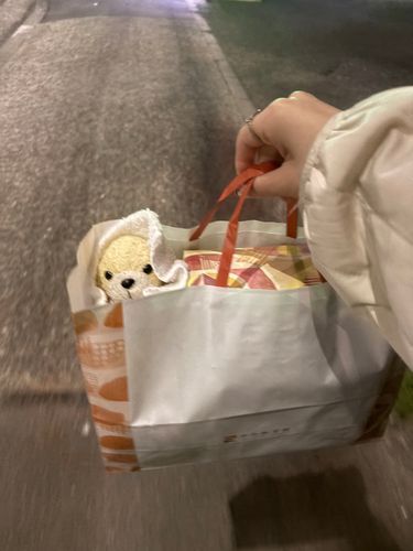 早起きして旅に行ってくるよ