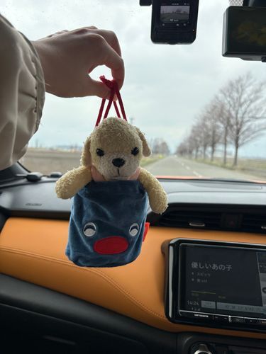 ピングー巾着にスッポリ✨