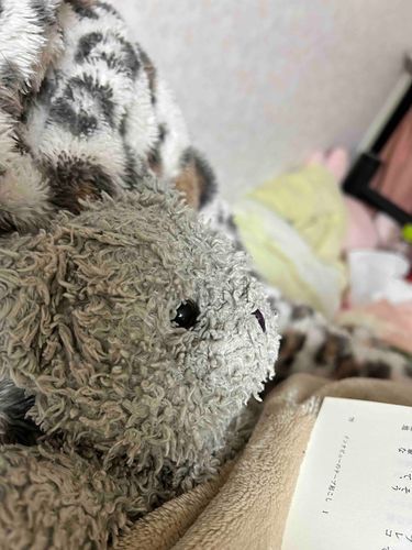 一緒に本読んだよ