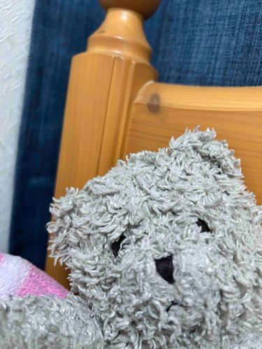 自撮りにチャレンジしたよ、じょうずにとれてる？