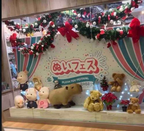 画質良くないけどぬいフェスに行ってきただよ