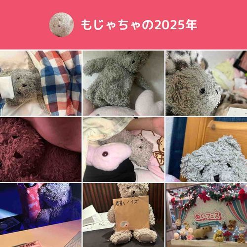 🧸🧸