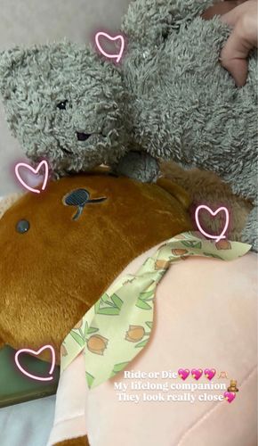 もじゃに新しい親友ができた‼️
心なしかいつもより嬉しそうな顔をしている気がします(By飼い主)
