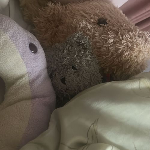ぬい博明日🫶🏻楽しみだね🧸🦕🩵