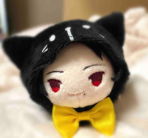 ねこちゃん　の　すがた！