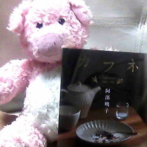 ほんをよみおえたぶぅ📖🎑
つぎはなにをよむかなやむぶぅ…